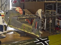 Supermarine Walrus - Image 7