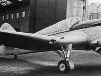 Miles Kestrel - Image 2