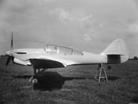 Miles Kestrel - Image 1