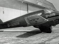 Percival Petrel - Image 4