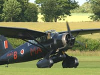 Westland Lysander - Image 6