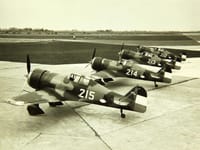 Fokker D.XXI - Image 6