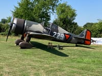 Fokker D.XXI - Image 9