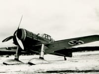 Fokker D.XXI