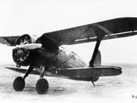 Polikarpov I-15 - Image 4