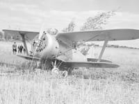 Polikarpov I-153 - Image 4
