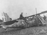 Fiat CR.42 Falco - Image 4