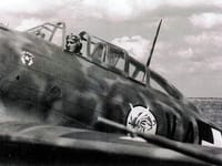 Reggiane Re.2000 Falco I - Image 4