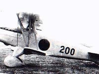 Kawasaki Ki-10 - Image 3