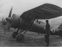 PZL P.11