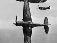 Curtiss P-40 Warhawk - Image 9