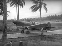 Curtiss P-40 Warhawk - Image 3