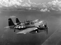 Grumman F4F Wildcat - Image 6