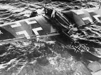 Dornier Do 18 - Image 3