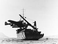 Blohm & Voss BV 138 Seedrache - Image 2