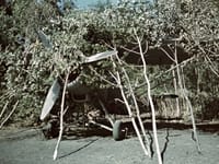 Heinkel He 46 - Image 2