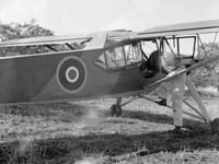 Fieseler Fi 156 Storch - Image 2