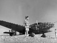 Caproni Ca.309