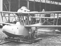 Aichi E11A