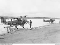 Mitsubishi F1M - Image 2