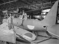 Mitsubishi F1M - Image 3