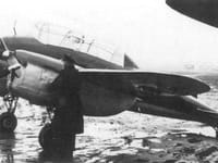 PWS-33 Wyżeł - Image 2