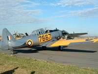 North American T-6 Texan - Image 16