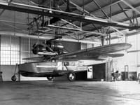 Douglas Dolphin - Image 6