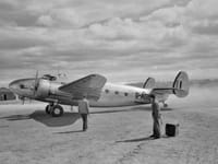 Lockheed Model 18 Lodestar - Image 2