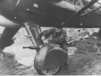 LWS-3 Mewa - Image 2