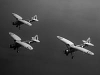 Douglas O-46 - Image 3