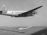 Avro Shackleton - Image 21