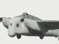 Short Sturgeon - Image 3