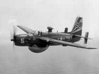 Grumman AF Guardian - Image 4
