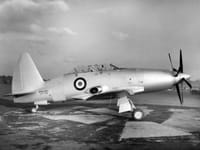 Westland Wyvern - Image 3