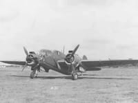 Martin Baltimore - Image 3