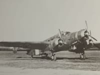 Savoia-Marchetti SM.84