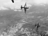 Curtiss SB2C Helldiver - Image 10