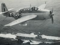Grumman TBF Avenger - Image 3