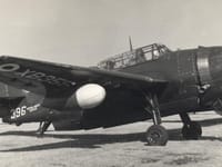 Grumman TBF Avenger - Image 6