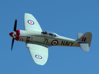 Hawker Sea Fury - Image 3