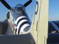 Hawker Sea Fury - Image 9