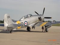 Hawker Sea Fury - Image 11