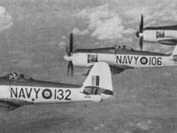 Hawker Sea Fury - Image 15