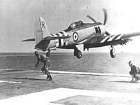 Hawker Sea Fury - Image 17