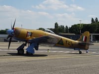 Hawker Sea Fury - Image 6