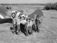 Hawker Tempest - Image 21