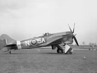 Hawker Tempest - Image 27