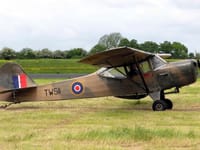 Taylorcraft Auster - Image 2