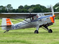 Auster J family - Image 2